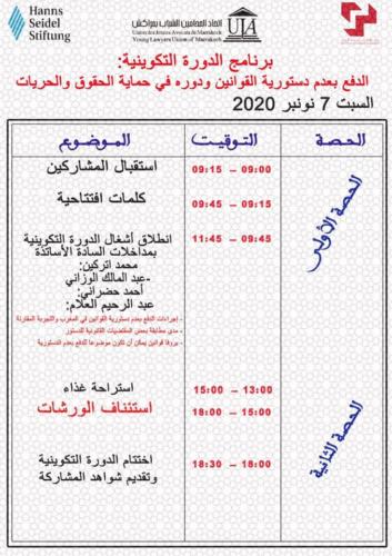 الدفع بعدم دستورية القوانين ودوره في حماية الحقوق والحريات